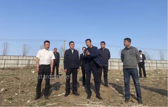 乡镇治理核心：书记与镇长角色洞察