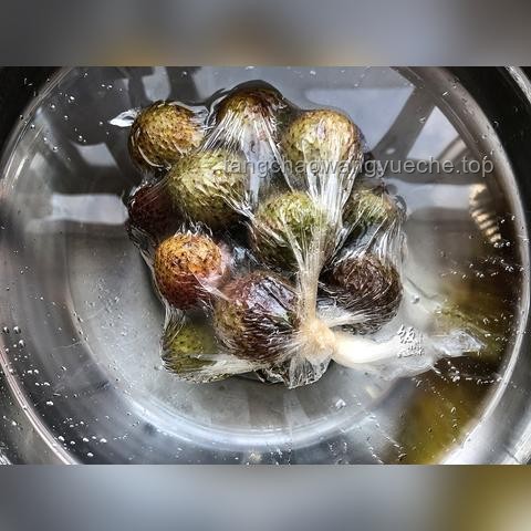 荔枝保鲜与快速运输解决方案